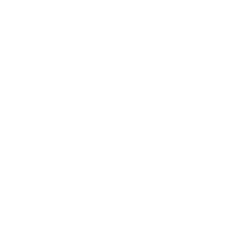 Akademia Śląska