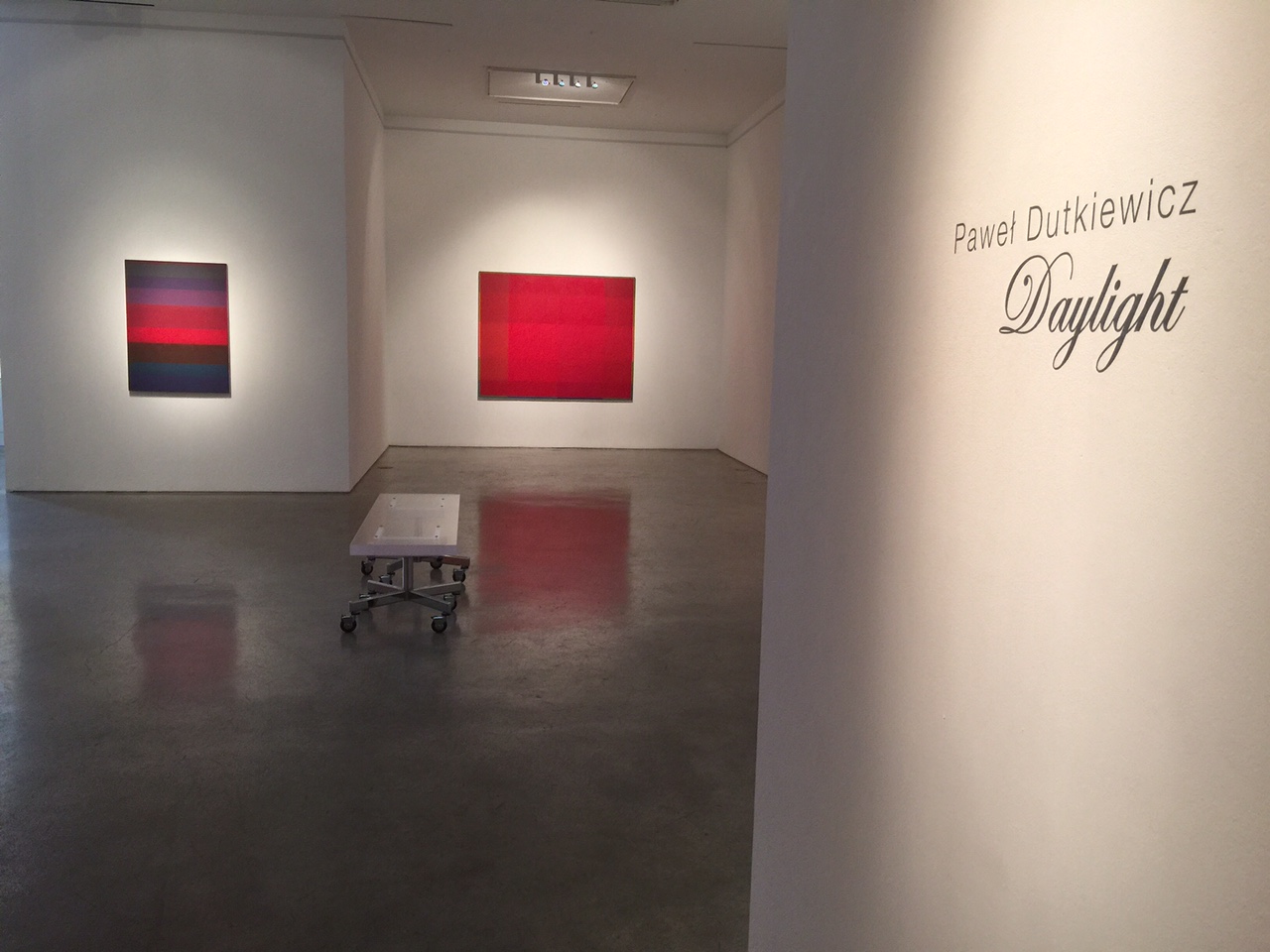 Wystawa dr Pawła Dutkiewicza w Anya Tish Gallery (Houston)
